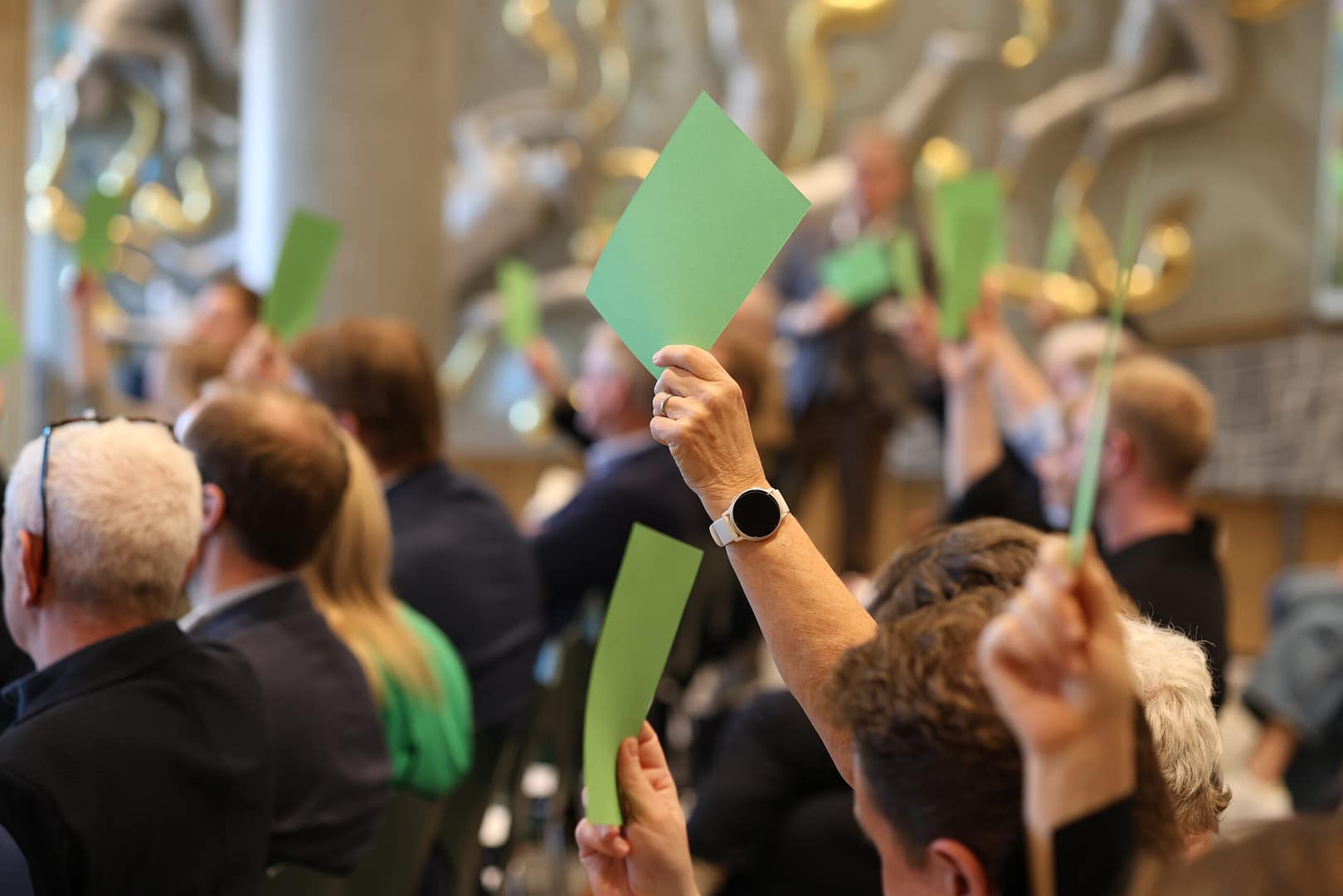 Generalforsamling i Tænketanken Demokratisk Erhverv Afstemning blandt tænketankens medlemmer til årets generalforsamling.
